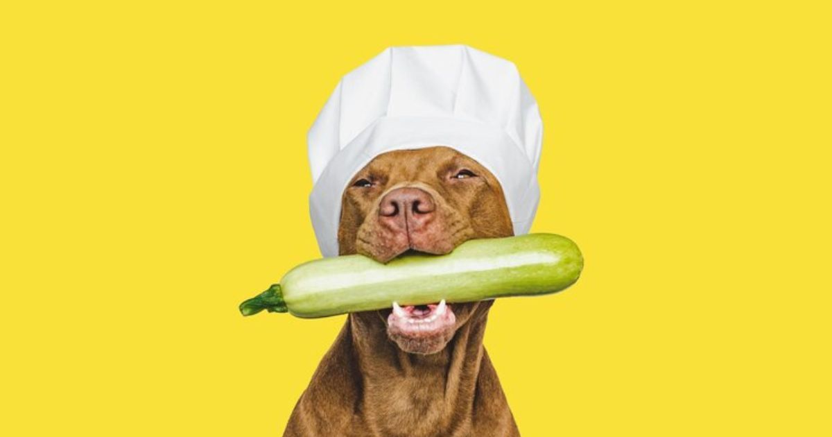 Cachorro Pode Comer Pepino?