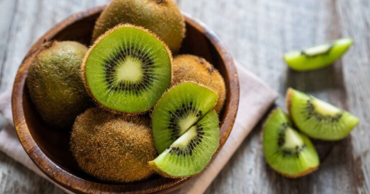 Cachorro Pode Comer Kiwi?